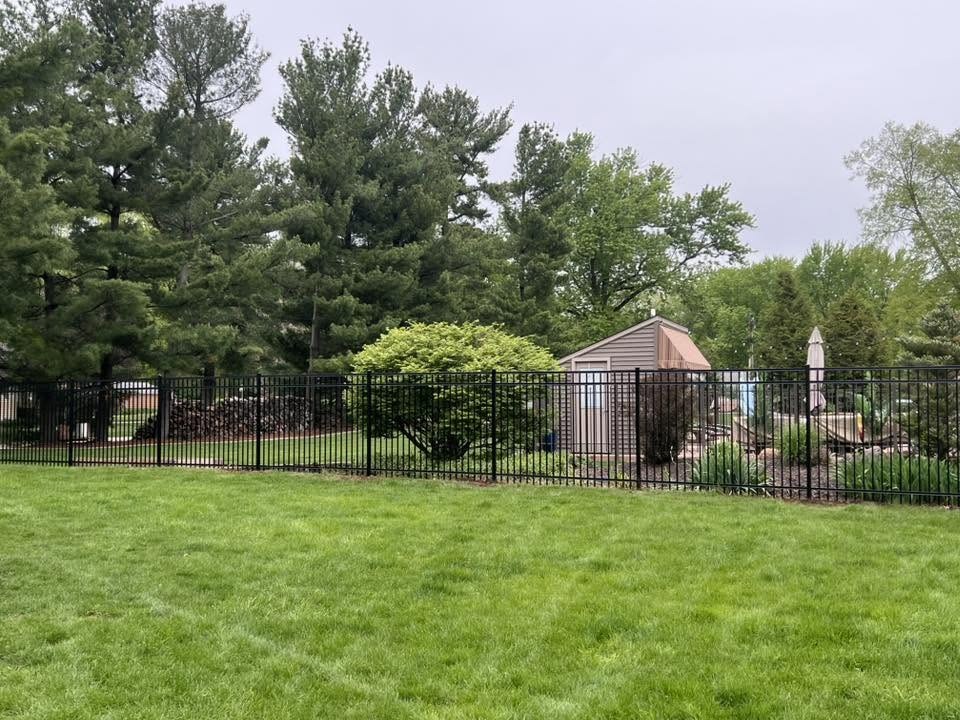 Black aluminum fence enclosing a backyard lawn